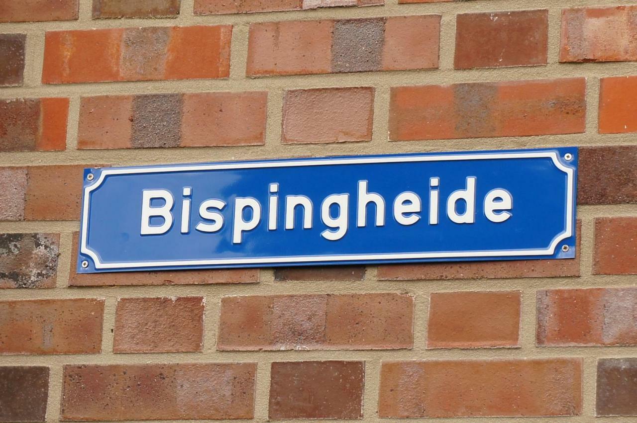 Bisping33 *
